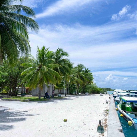 Tropisch eiland met palmbomen, wit zand en blauw water