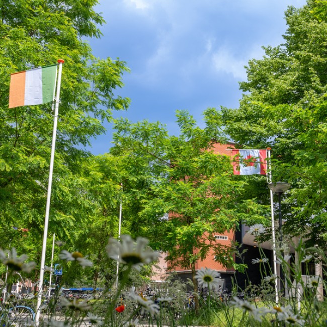 Internationale universiteiten. Vlaggen van Ierland en Zwitserland